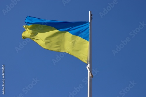 Ukraine flag waving in strong wind on a sunny summer day