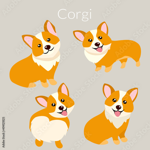 Vector illustration doodle of cute and happy welsh corgi set in different poses. Funny corgi for decoration and design in flat cartoon style.