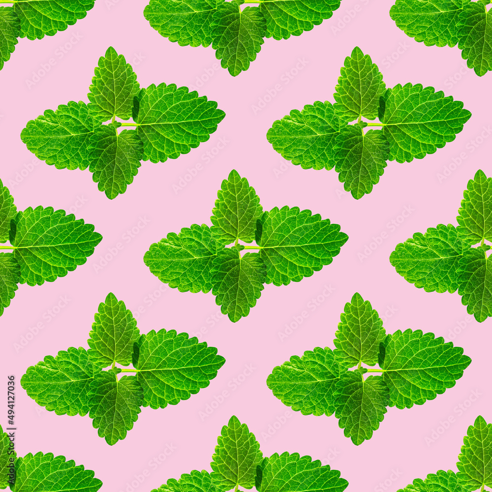 Seamless pattern of fresh mint leaves on pink background for packaging design. peppermint abstract background. Seamless pattern of fresh mint leaves on pink background for packaging design. peppermint abstract background.