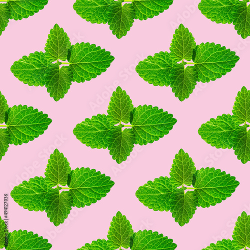 Seamless pattern of fresh mint leaves on pink background for packaging design. peppermint abstract background.