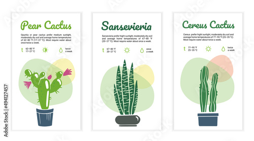 Home plant care instructions template set. Cactus, Sansevieria. Label, card, reminder for flower lovers and for flower shop. Vector illustration on white background.