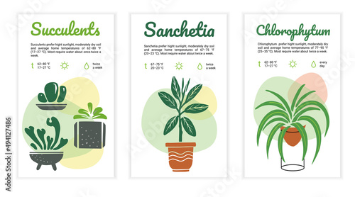 Home plant care instructions template set. Label, card, reminder for flower lovers and for flower shop. Vector illustration on white background.