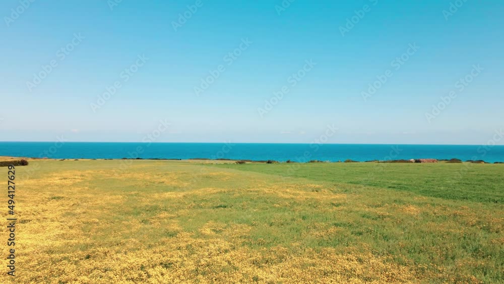 Aerial 4k green & yellow field with flowers, nature and sea view in spring time in North Cyprus Aerial 4k green & yellow field with flowers, nature and sea view in spring time in North Cyprus