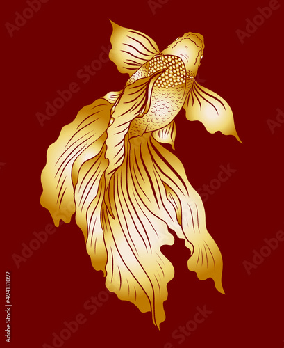 Beautiful line art of gold fish vector illustration.Koi fish for printing on shirt on white isolated background.