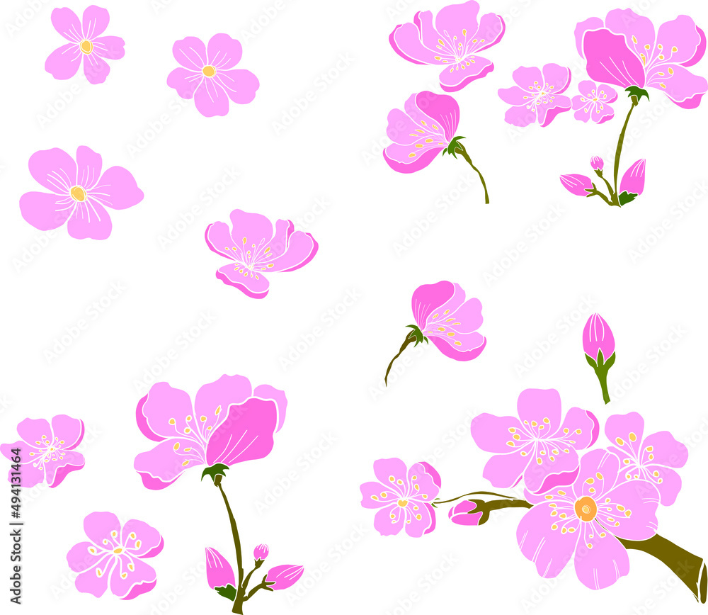Branch of Cherry blossom on white.Vector illustration Sakura Flower,Nice Peach blossom isolated vector.Japanese floral. Branch of Cherry blossom on white.Vector illustration Sakura Flower,Nice Peach blossom isolated vector.Japanese floral.