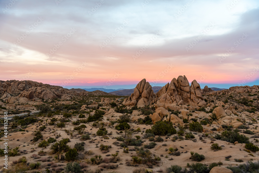 Joshua Tree National Park landscape in late afternoon, before sunset. 