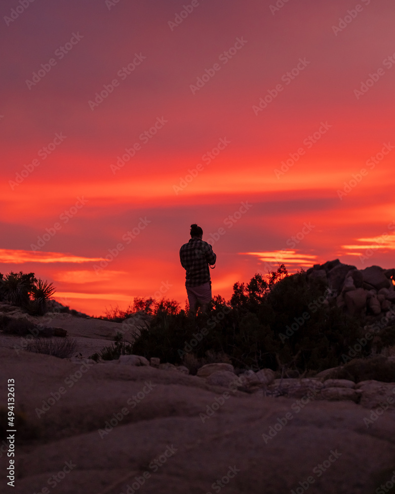 Tourist in Joshua Tree National Park with pink sunset beautiful background. Taken in California. 