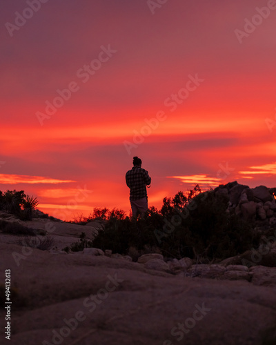 Tourist in Joshua Tree National Park with pink sunset beautiful background. Taken in California. 