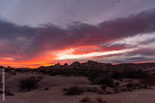 Sunset in Joshua Tree National Park, California