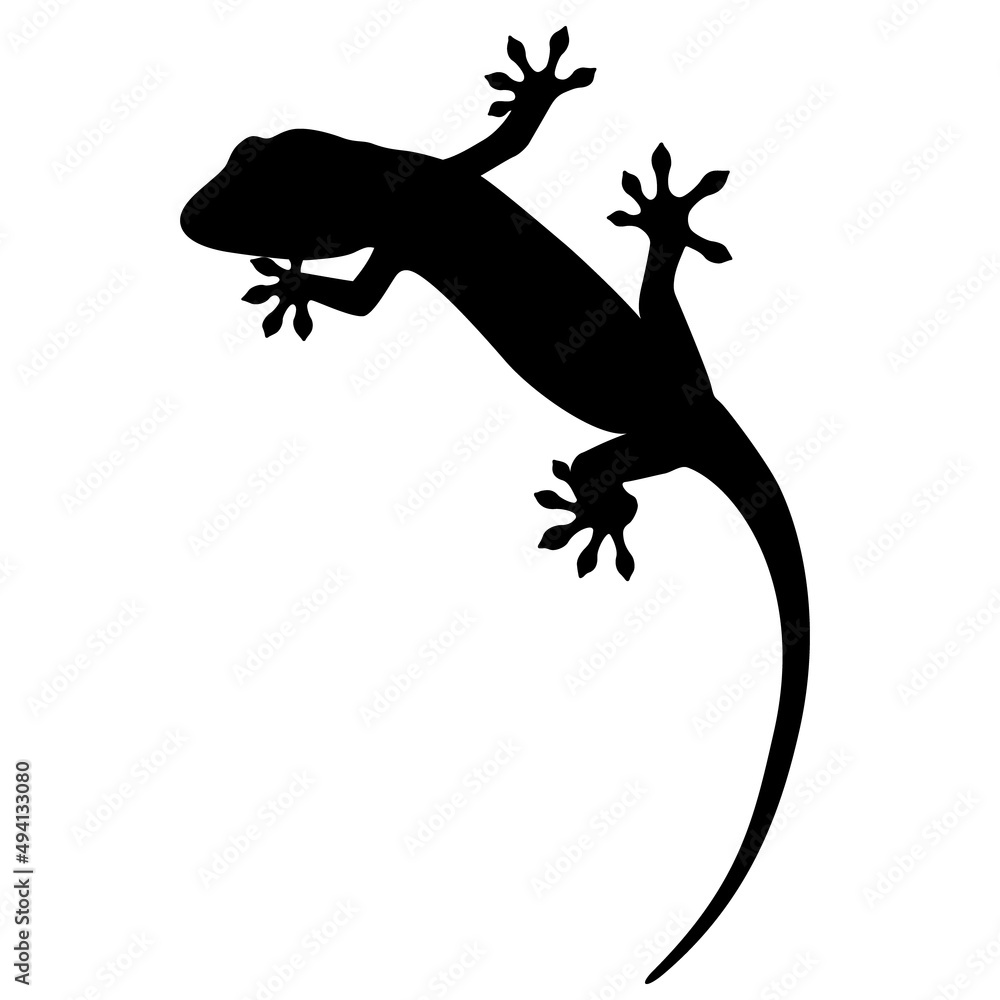 ヤモリのシルエットイラスト 白背景 ベクター 切り抜き Stock Vector Adobe Stock