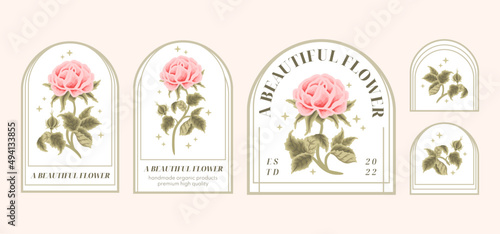 Set of vintage peach rose floral feminine logo elements and beauty product label vector illustration templates with leaf branch and frame