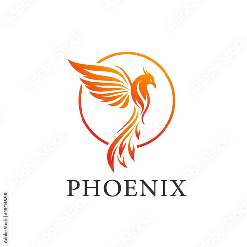 Phoenix logo illustration vector