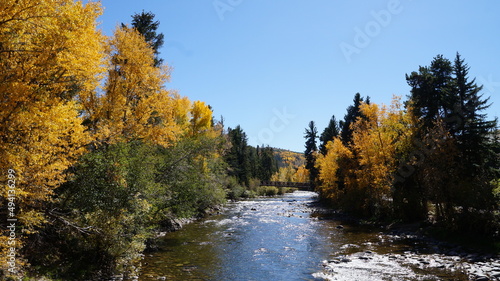 autumn river in the forest
