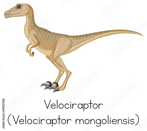 Wordcard for velociraptor standing