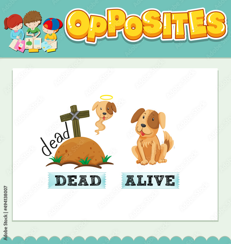 Opposite words for dead and alive Opposite words for dead and alive