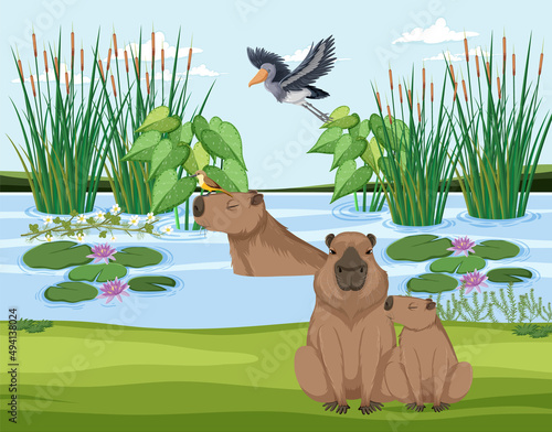 Capybara living in the nature pond