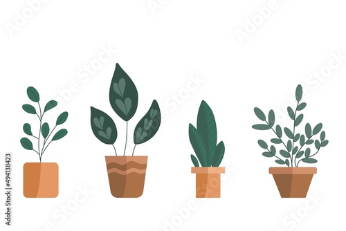 Vector set of plants. Potted plants collection. Hand drawn vector on the white background.