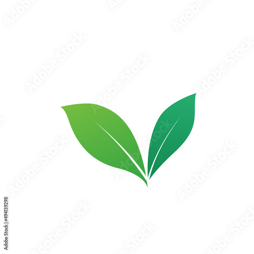 A green leaves icon on a white background. Green Eco symbol concept design with green leaf vector illustration isolated 