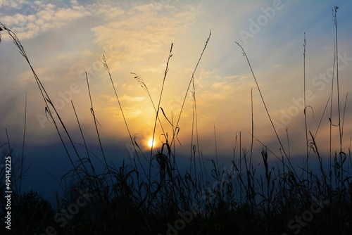 sunset over the river. Beautiful photo of  wild nature and sunset.