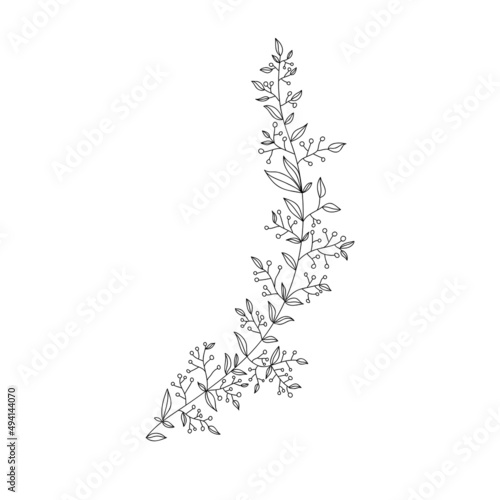 Botanical decorative branch with berries and leaves, line art, floral branch for the decor of cards, greetings, invitations, for graphic design. Isolated on white background. Vector graphics