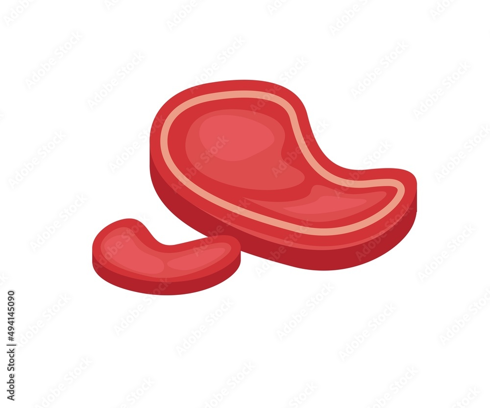 Isometric style illustration of cuts of meat Isometric style illustration of cuts of meat