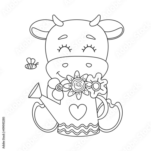 Lineart of cute bull with watering can inside which is bouquet of flowers. Bull sniffs flowers. Vector illustration for kids colouring book.