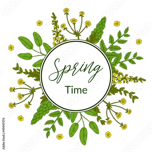 Wallpaper Mural Spring floral green frame with meadow flowers. Hand drawn vector illustration Torontodigital.ca