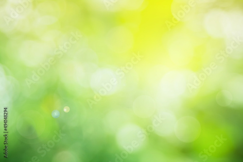 Abstract blurred green color for background, Blur leaves at the health garden outdoor and white bubble focus texture.