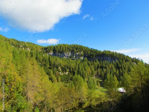 Scenic view of european larch forest covered slopes and mountains above Lipanca in Triglav national park and Julian alps, Slovenia photo