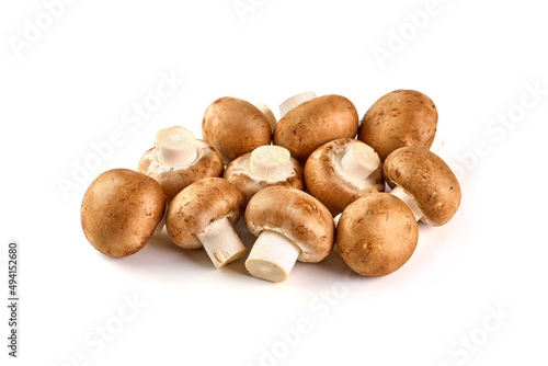Royal brown champignons, isolated on white background.