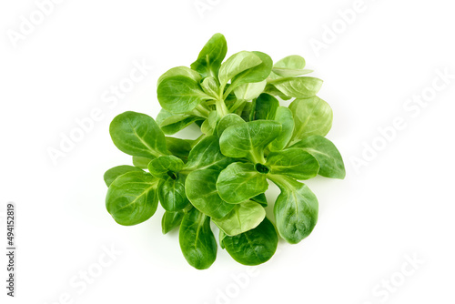 Spinach salad, isolated on white background.
