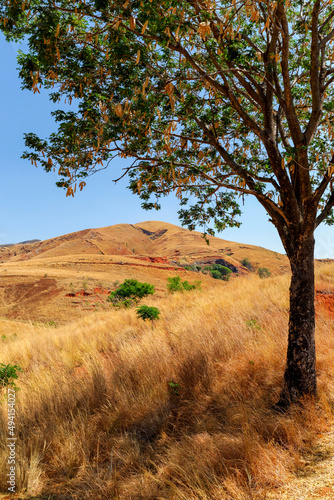 Paysage aride dans le centre-ouest de Madagascar