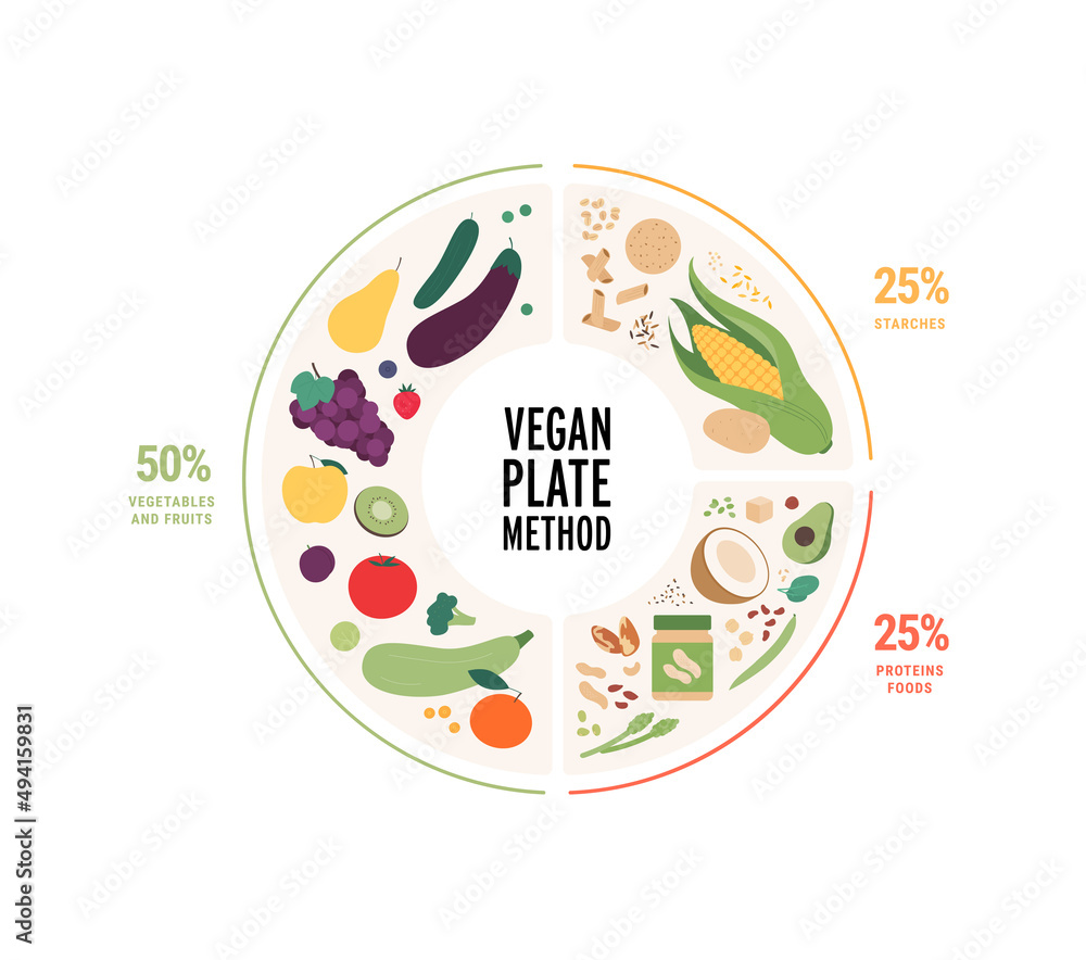 Food guide concept. Vector flat modern illustration. Vegan diet infographic plate with percent labels. Colorful food, oil, fruit, vegetables, legumes and grain icon set isolated on white background.