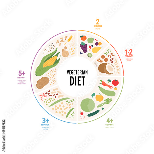 Food guide concept. Vector flat modern illustration. Vegetarian diet infographic plate with servings labels. Colorful food, oil, fruit, vegetables, legumes and grain icon set on white background.