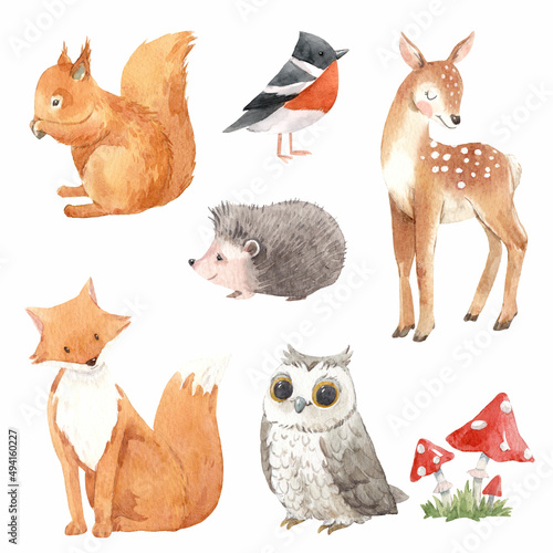 Photography Beautiful set with cute watercolor hand drawn wild forest animals deer hedgehog fox owl bear squirrel