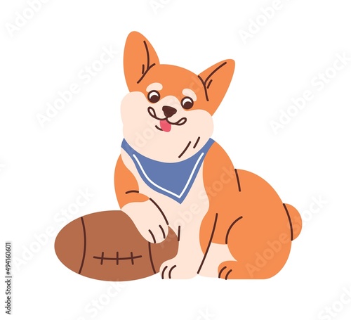 Cute Corgi dog with rugby ball portrait. Funny amusing puppy athlete. Adorable active doggy. Lovely canine animal and sport. Flat vector illustration of pet isolated on white background