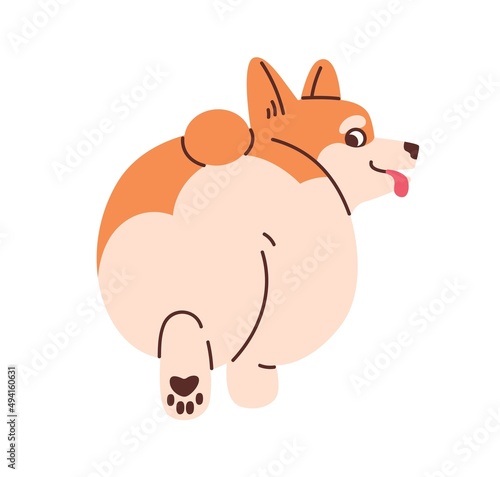 Dogs butt. Cute Corgi puppy going away, back view. Funny animal with fat bum, backside. Amusing comic doggy with lovely buttocks. Flat graphic vector illustration isolated on white background