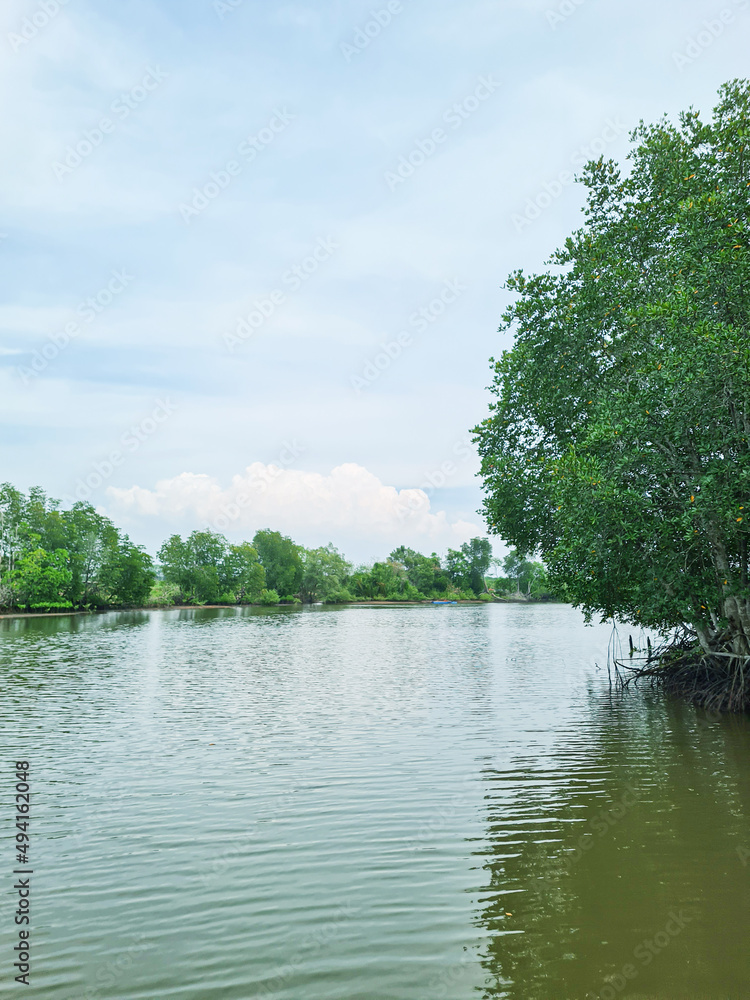 The bright white sky reflected on the exceptionally calm waters off the shores of mangrove forests.