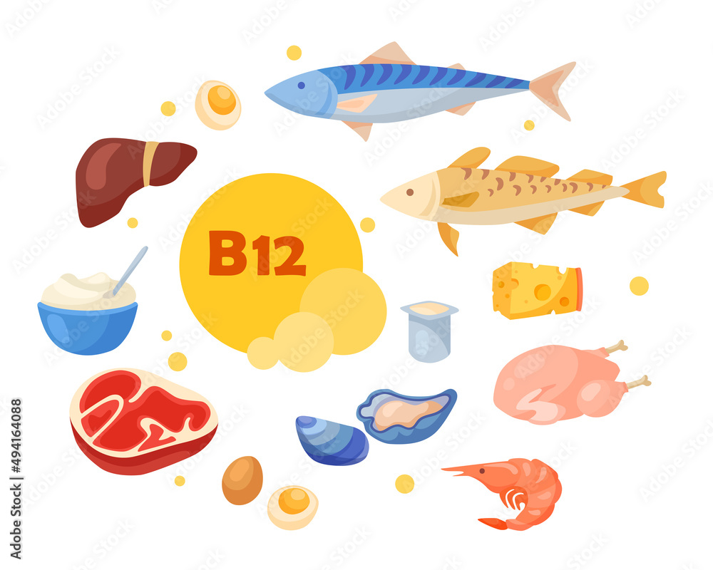 Vitamin b12-enriched food cartoon collection set. Organic meat, fish, milk, cheese, tuna, shrimp, curd, eggs containing vitamin isolated on white background. Balanced diet, meal, healthcare concept