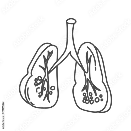 hand drawn illustration of human lungs for educational purposes in schools or for children's coloring books