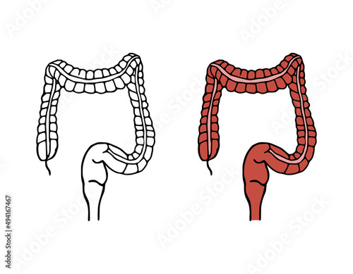Colon doodle vector illustration. Digestive system cartoon icons isolated on white background. Human internal organ in hand drawn style.
