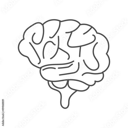 hand drawn illustration of human brain organ suitable for educational purposes in schools as well as coloring books for children