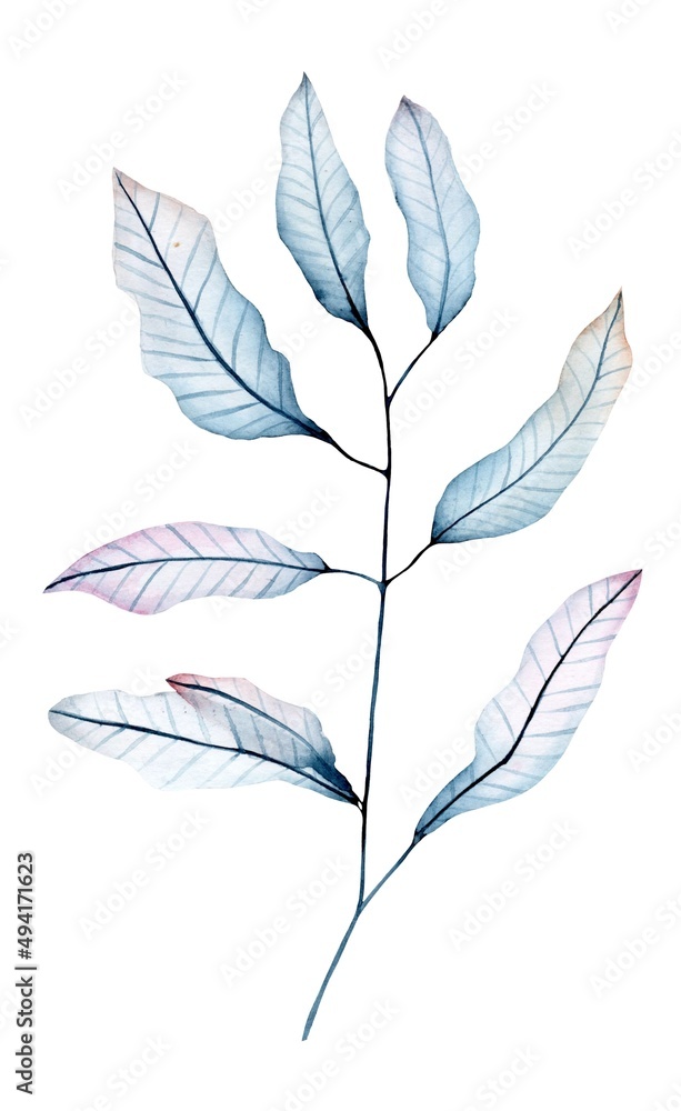 Obraz premium Floral watercolor element