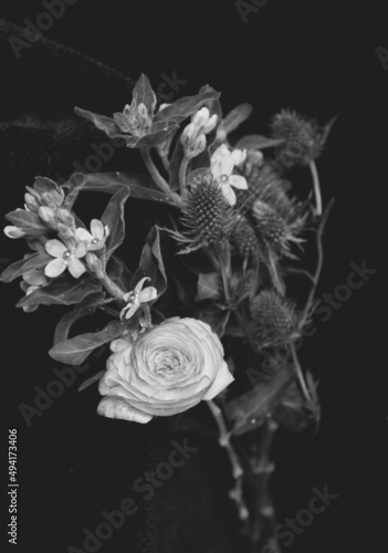 black and white photography of flowers