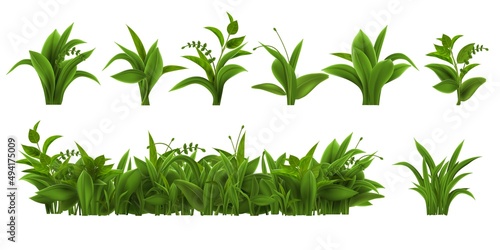 Realistic fresh green grass, weed and herb leaves. Spring plant tufts and bushes. Summer field, garden lawn or meadow vegetation vector set