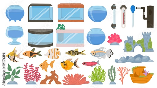 Cartoon aquarium decoration, underwater plants, seaweeds, stones and pet fish. Empty aquariums tank, water fauna, filter and lamp vector set