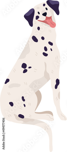 Happy Friendly Dalmatian Dog Breed Illustration