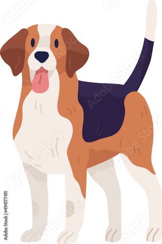 Hunting Dog of Beagle Breed Illustration