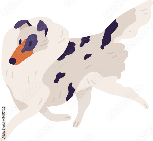 Small Dog of Sheltie Breed Illustration