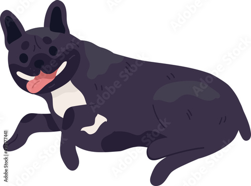 Dog of French Bulldog Breed Illustration